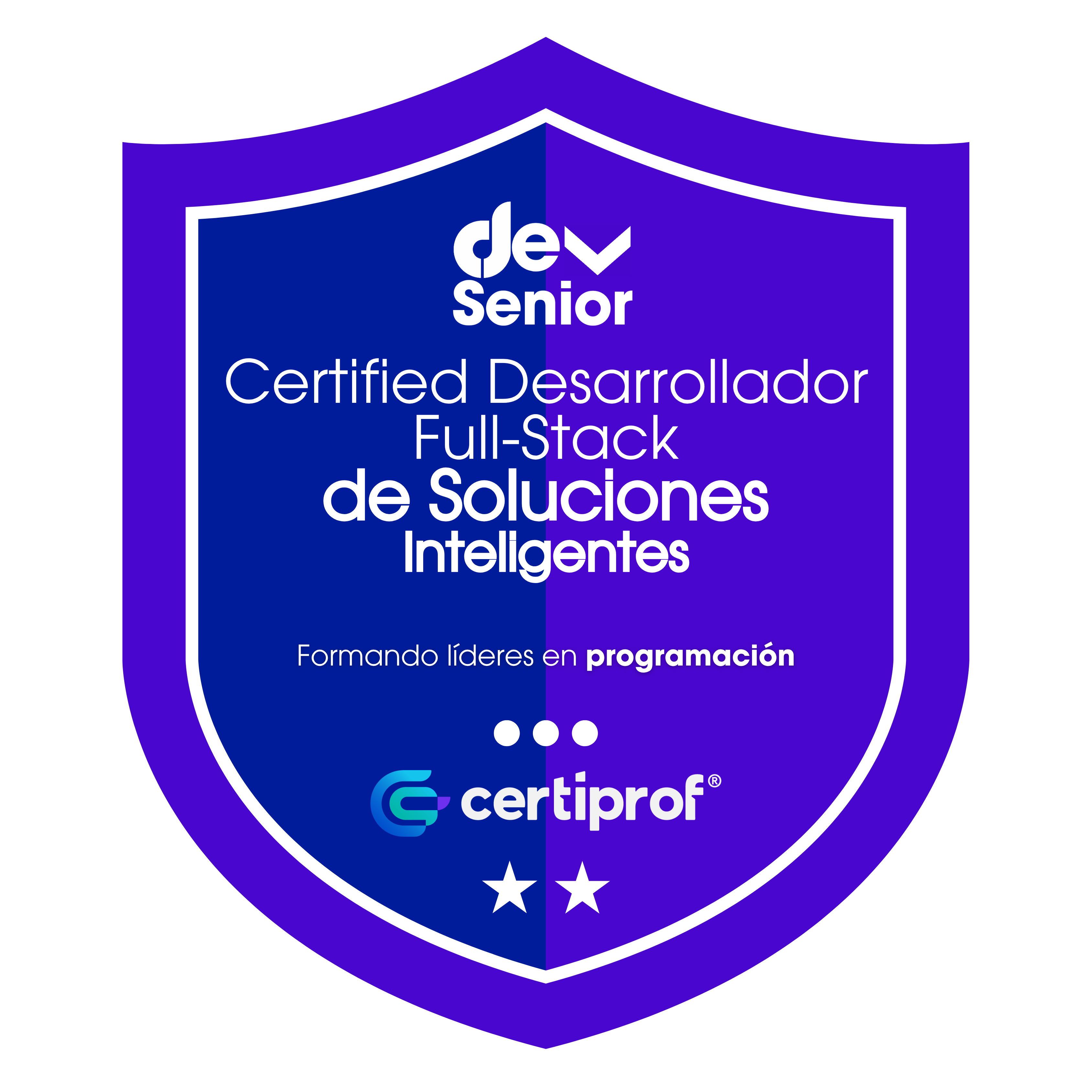 Insignia Desarrollador Full Stack de Soluciones Inteligentes